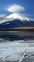 山中湖の富士