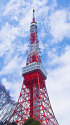 東京タワー