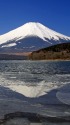 春めいて(富士山)