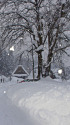 雪の白川郷