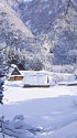 五箇山 雪晴れの朝