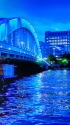 永代橋ライトアップ