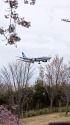 成田空港