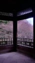 御凉亭にて