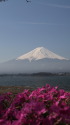 富士山・・春らしく