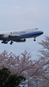 B747 B-18719