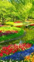 華やかな春