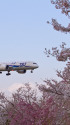 B787 JA808A