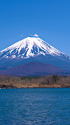春の精進湖から 子抱富士