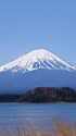 河口湖畔から春の富士山