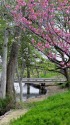春の小川