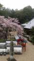 高月院にて