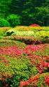 神代植物園にて