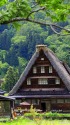 緑の合掌集落