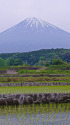 富士宮 田園風景と富士山