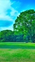 初夏の北の丸公園