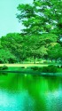 爽やかな朝の光景