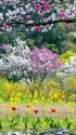 勝原花桃公園
