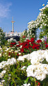 山下公園を彩る花々