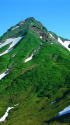 登山道から利尻山山頂を望む