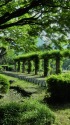 日比谷公園の朝