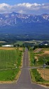 十勝岳連峰への道