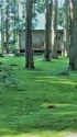 平泉寺白山神社