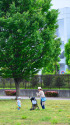 午後の公園