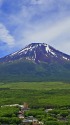 夏の富士山