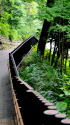 飛鳥山の遊歩道