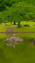 小石川後楽園・大泉水と日本庭園