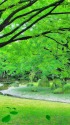 谷津干潟公園の風景