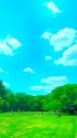 初夏の野川公園