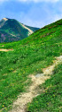 花咲く登山道