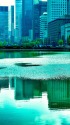 そよ風吹く日比谷濠