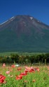 花の都公園からの富士山