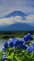 精進湖の富士山