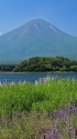 河口湖の富士