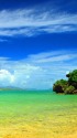 石垣の海