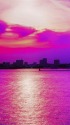 お台場の夕景