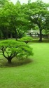 殿ヶ谷戸庭園
