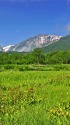 栂池自然園