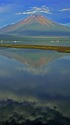 山中湖の夏富士
