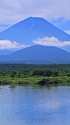 精進湖の子抱き富士