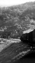 トンネルに向かう貨物列車