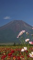 晩夏の富士山