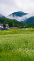 南会津 初秋の田園風景