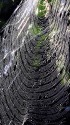 蜘蛛の巣