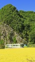 高岩を往く(小海線)