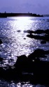 森戸海岸にて